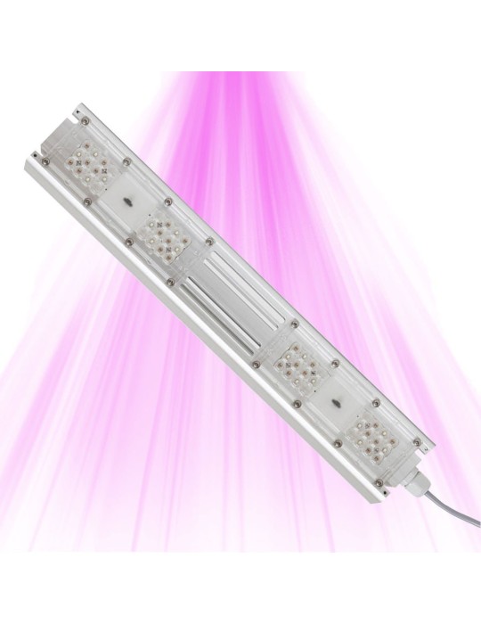 S2W - Éclairage Horticole Petites Surfaces De Culture - 62W Sanlight - 2 S2W - Éclairage Horticole Petites Surfaces De Culture - 62W Sanlight - 2