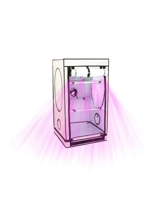 Vista Small - HomeBOX Grow Room - 65x65x120 cm HomeBox - 1 Vista Small - HomeBOX Grow Room - 65x65x120 cm HomeBox - 1