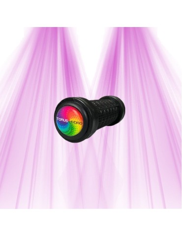 Régulateur AUTO de pH TORUS 950L - Pour culture hydroponique