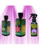 Pack Orchid Focus  - 1