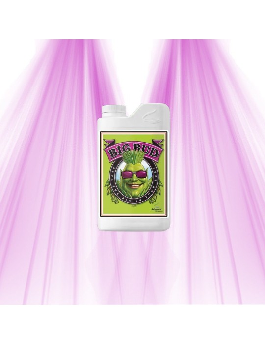 Big Bud - Advanced Nutrients Advanced Nutrients - 1