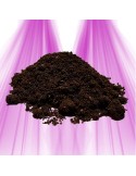Guano de chauve-souris - Pour activer vos sols et la production de vos plantes - Terralba Terralba - 1