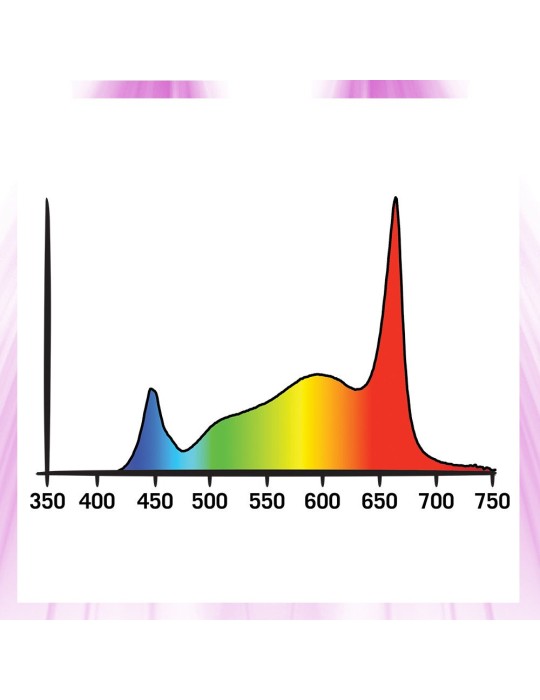 Éclairage Horticole LED - HPLED 200W - FULL SPECTRUM - Secret Jardin Secret Jardin - 6