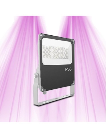 Lampe horticole LED - GVL SPOT 30W SLIM V4 - Eclairage pour plantes vertes et murs végétaux