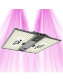 PURELED Q240 V2 - Panneau LED Horticole croissance et floraison