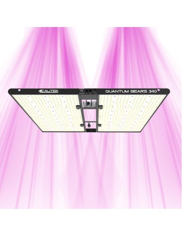 Quantum Bears 340W – Leistungsstarke Vollspektrum-LED-Gartenbaubeleuchtung – Calitek