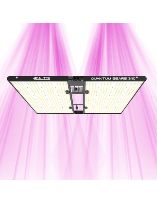 Quantum Bears 340W - Éclairage horticole LED puissant à spectre complet - Calitek Quantum Bears 340W - Éclairage horticole LED puissant à spectre complet - Calitek