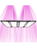 Quantum Bears 680W - Powerful Full Spectrum LED Horticultural Lighting - Calitek