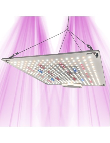 Rhino Series 130 V4 - New generation LED horticultural panel - CannaLED