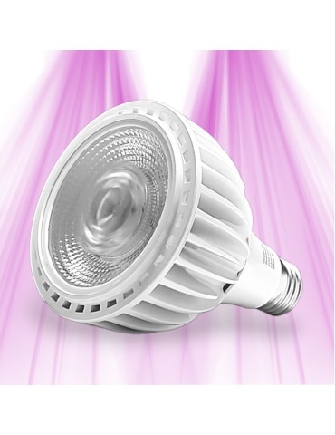 SpectraBULB X20 LED horticultural bulb - GreenVisuaLED
