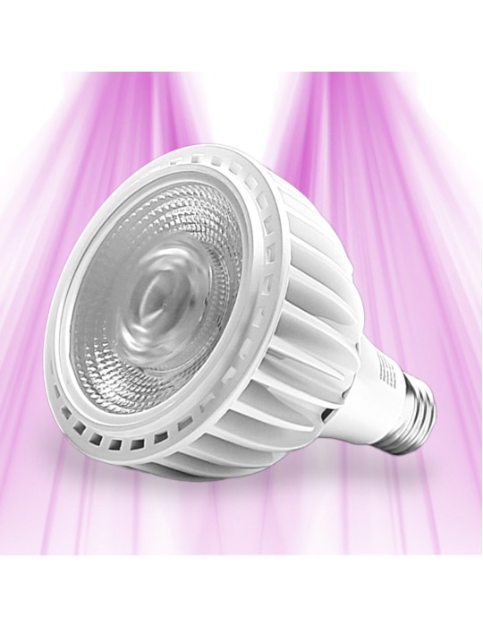 SpectraBULB X20 LED Horticultural Bulb - GreenVisuaLED GreenVisuaLED - 1 SpectraBULB X20 LED Horticultural Bulb - GreenVisuaLED GreenVisuaLED - 1