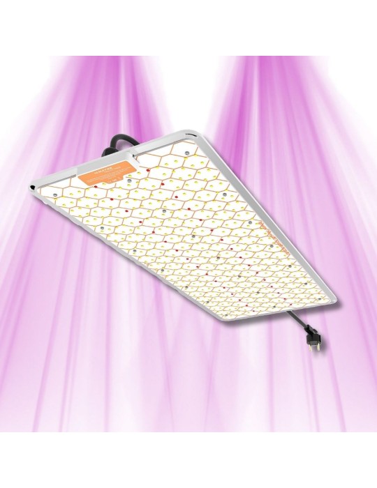 Ignator HeroLED F240W - Éclairage horticole LED