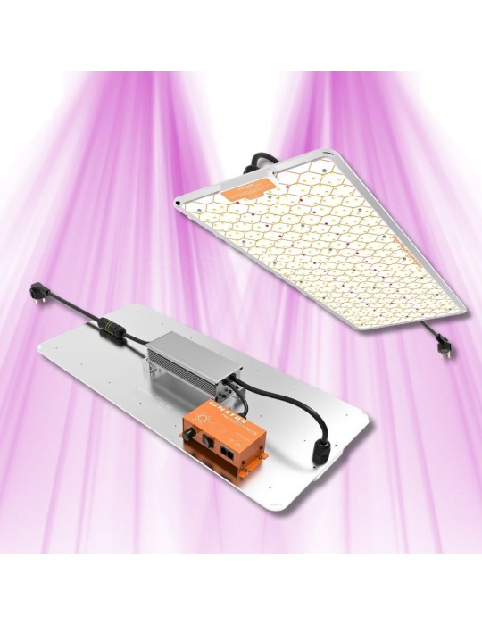 Ignator HeroLED F240W - Éclairage horticole LED Ignator HeroLED F240W - Éclairage horticole LED