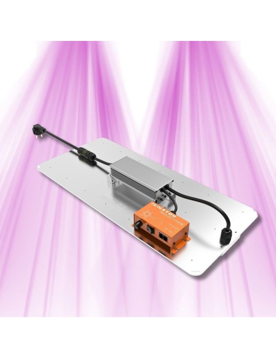 Ignator HeroLED F240W - Éclairage horticole LED