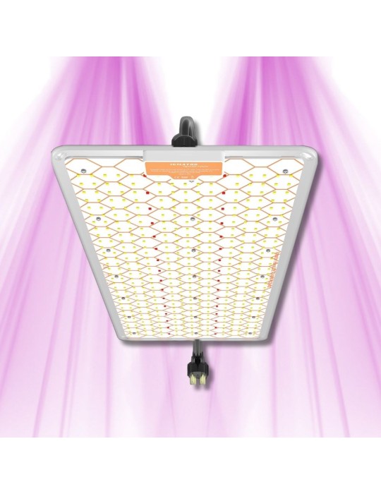 Ignator HeroLED F240W - Éclairage horticole LED