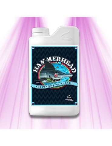 HammerHead – Advanced Nutrients – Blühverstärker